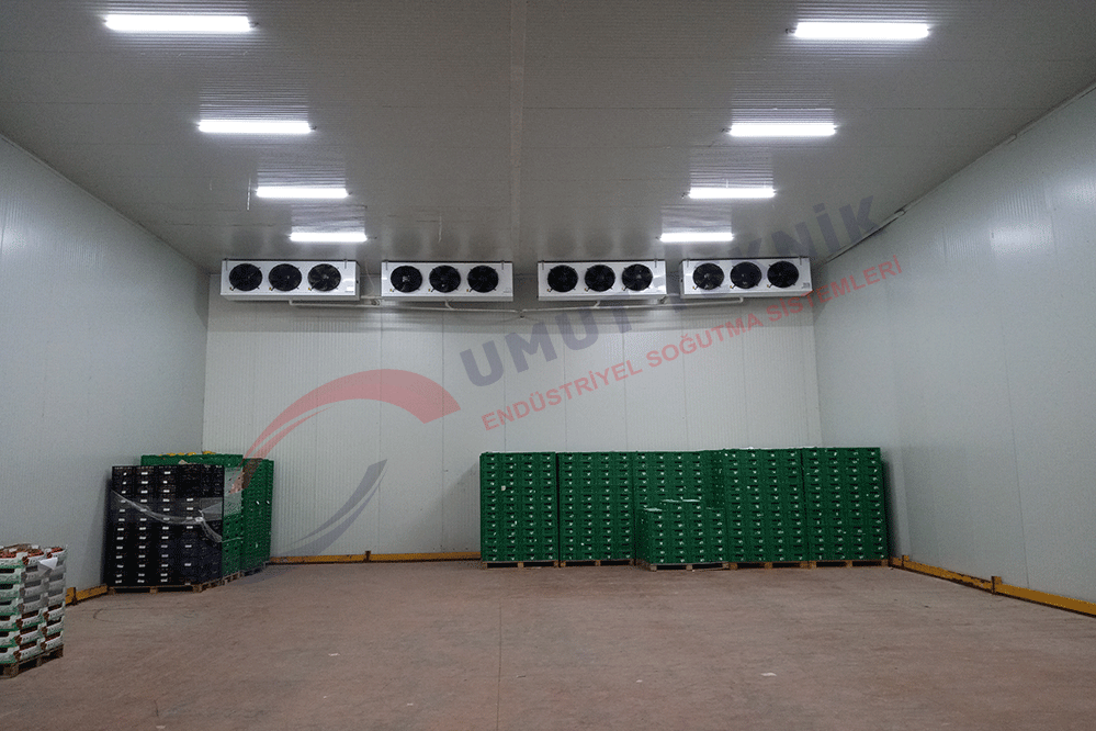 Yaş Sebze ve Meyve Soğuk Hava Deposu - 2