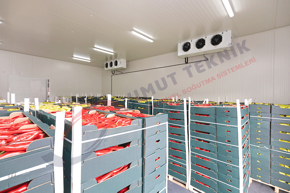 Yaş Sebze ve Meyve Soğuk Hava Deposu - 3