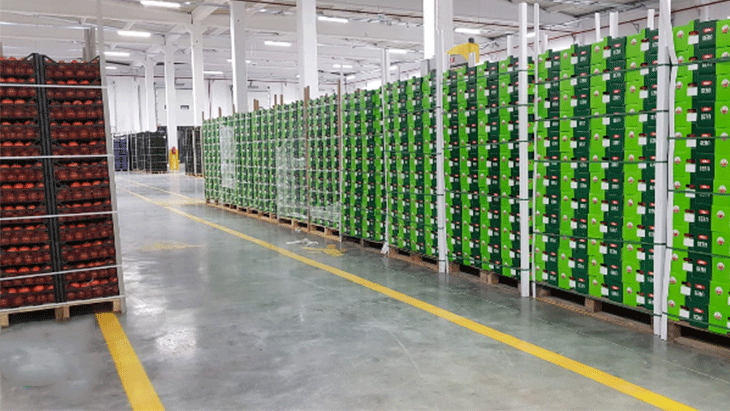 Yaş Sebze ve Meyve Soğuk Hava Deposu - 5