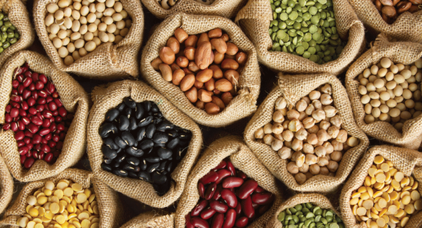 Tohum Soğuk Hava Deposu