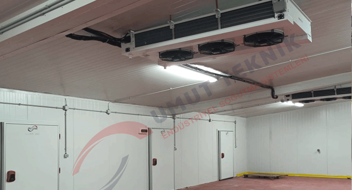 Unlu Mamuller Donuk ve Soğuk Oda - 5