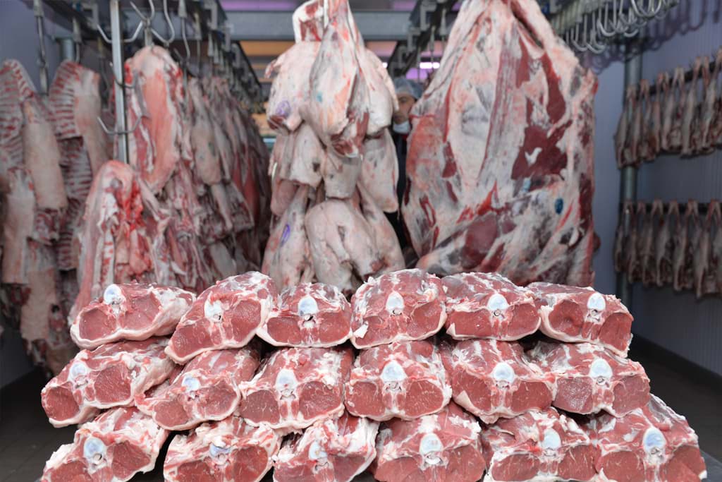 Et Tavuk Donuk Oda - 1