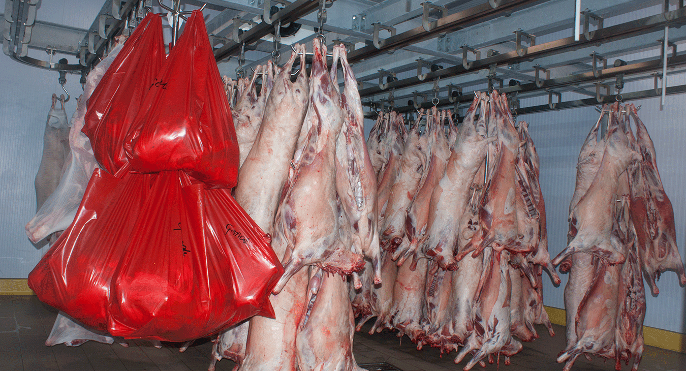 Et Tavuk Donuk Oda - 7