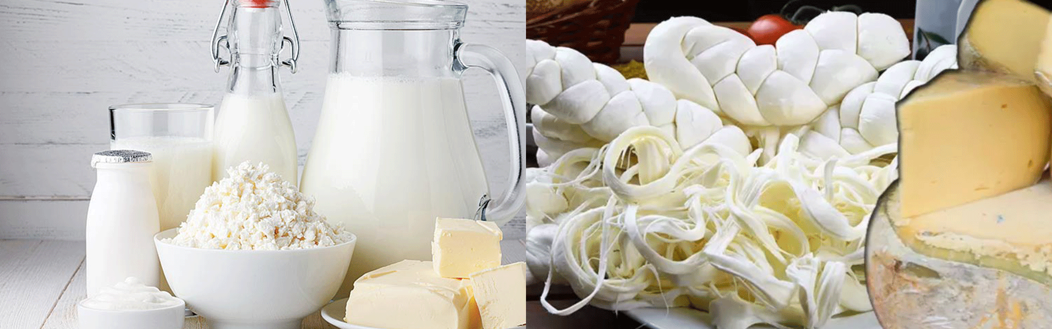 Süt ve Süt Ürünleri Soğuk Hava Deposu