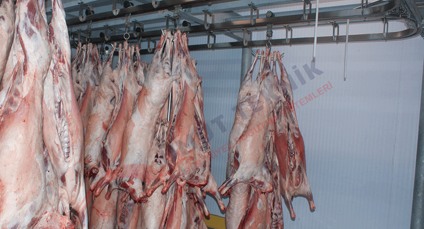 Et ve Tavuk Soğuk Oda - 5