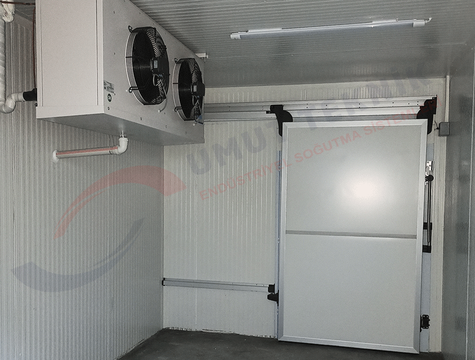 Balık ve Su Ürünleri Soğuk ve Donuk Oda - 5